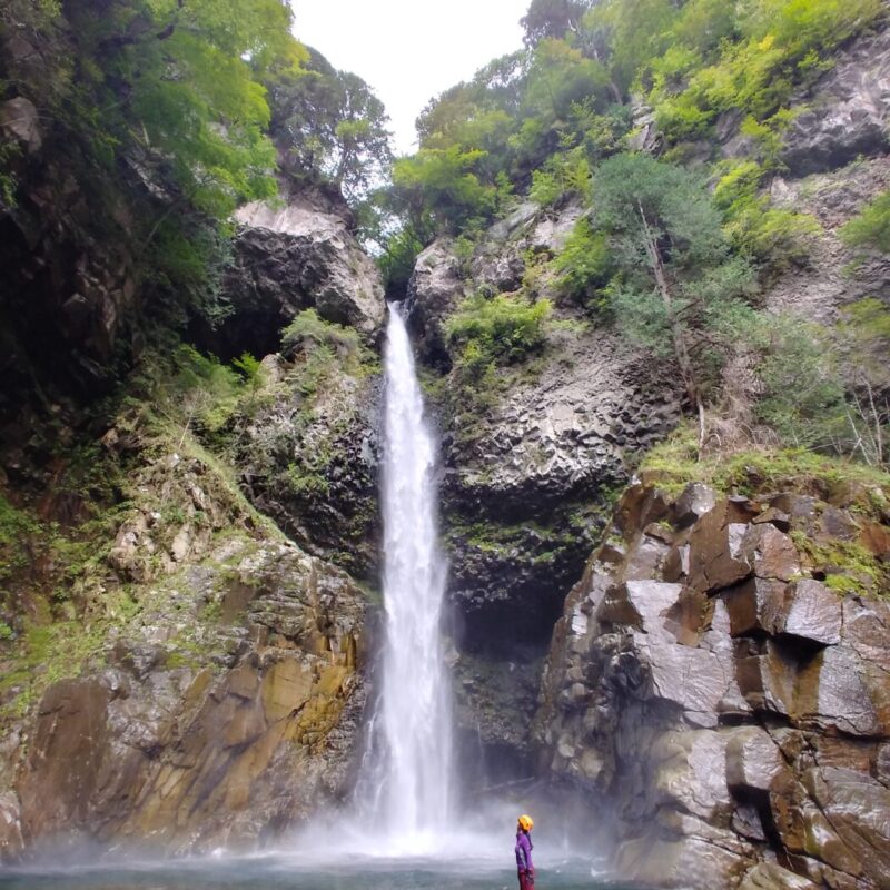 【2024シーズン】沢を歩いて日本の滝百選・根尾の滝へ